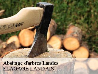 Abattage d'arbres 40 Landes ELAGAGE LANDAIS