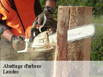 Abattage d'arbres Landes