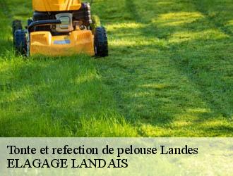 Tonte et refection de pelouse 40 Landes ELAGAGE LANDAIS