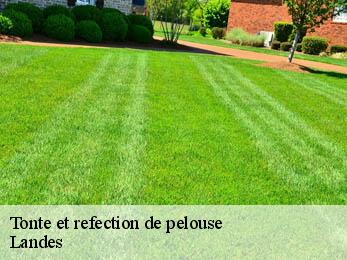 Tonte et refection de pelouse Landes 