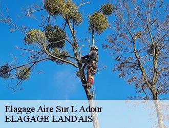 Elagage  aire-sur-l-adour-40800 Riva Élagage 40