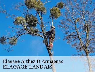 Elagage arthez-d-armagnac-40190 Riva Élagage 40