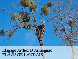 Elagage  arthez-d-armagnac-40190 Riva Élagage 40