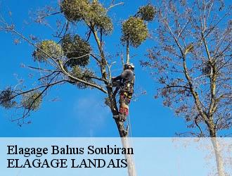 Elagage  bahus-soubiran-40320 ELAGAGE LANDAIS