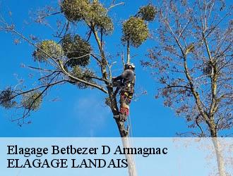 Elagage  betbezer-d-armagnac-40240 Riva Élagage 40