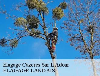 Elagage  cazeres-sur-l-adour-40270 Riva Élagage 40