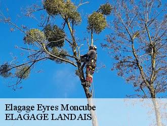 Elagage eyres-moncube-40500 Riva Élagage 40