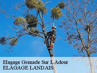 Elagage  grenade-sur-l-adour-40270 ELAGAGE LANDAIS