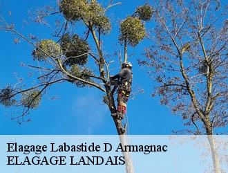 Elagage  labastide-d-armagnac-40240 Riva Élagage 40