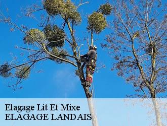 Elagage  lit-et-mixe-40170 ELAGAGE LANDAIS