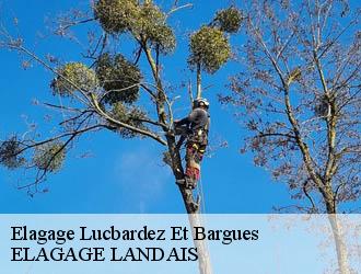 Elagage  lucbardez-et-bargues-40090 ELAGAGE LANDAIS