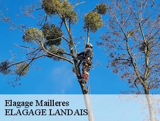 Elagage  mailleres-40120 ELAGAGE LANDAIS
