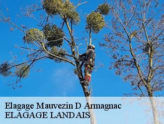 Elagage  mauvezin-d-armagnac-40240 Riva Élagage 40