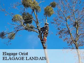 Elagage  orist-40300 ELAGAGE LANDAIS