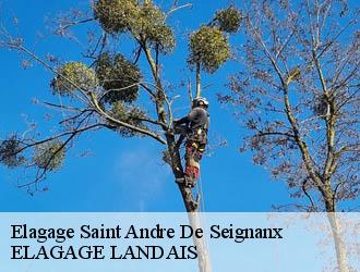 Elagage saint-andre-de-seignanx-40390 ELAGAGE LANDAIS