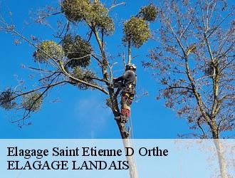 Elagage saint-etienne-d-orthe-40300 Riva Élagage 40