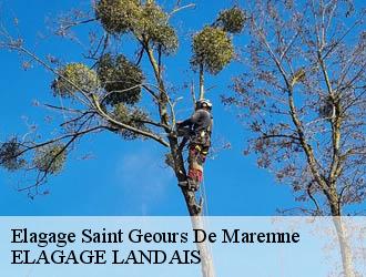 Elagage saint-geours-de-maremne-40230 ELAGAGE LANDAIS