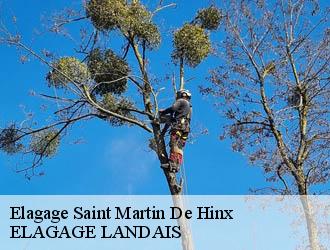 Elagage saint-martin-de-hinx-40390 ELAGAGE LANDAIS