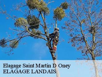 Elagage saint-martin-d-oney-40090 ELAGAGE LANDAIS