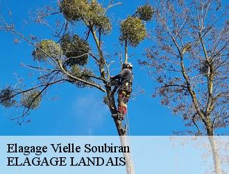 Elagage vielle-soubiran-40240 Riva Élagage 40