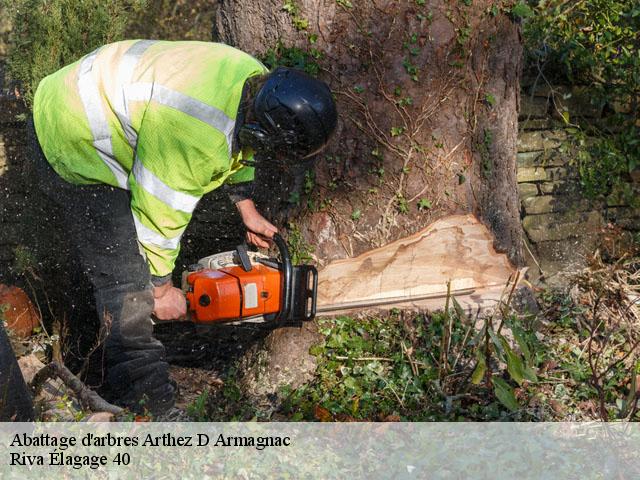 Abattage d'arbres  arthez-d-armagnac-40190 Riva Élagage 40