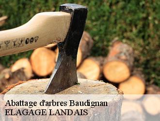 Abattage d'arbres  baudignan-40310 Riva Élagage 40