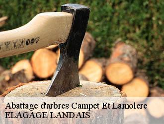 Abattage d'arbres  campet-et-lamolere-40090 Riva Élagage 40