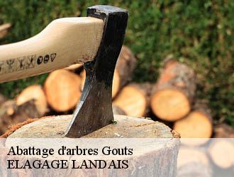 Abattage d'arbres gouts-40400 ELAGAGE LANDAIS