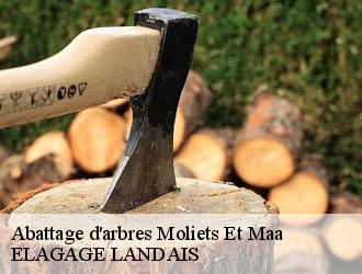 Abattage d'arbres moliets-et-maa-40660 ELAGAGE LANDAIS