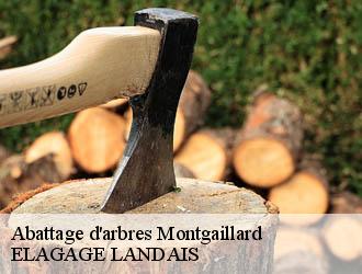 Abattage d'arbres montgaillard-40500 ELAGAGE LANDAIS
