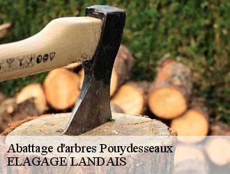 Abattage d'arbres pouydesseaux-40120 ELAGAGE LANDAIS