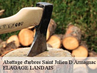 Abattage d'arbres  saint-julien-d-armagnac-40240 Riva Élagage 40