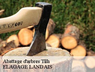 Abattage d'arbres tilh-40360 ELAGAGE LANDAIS