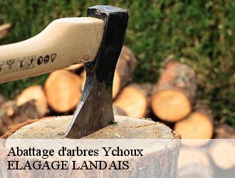 Abattage d'arbres ychoux-40160 ELAGAGE LANDAIS