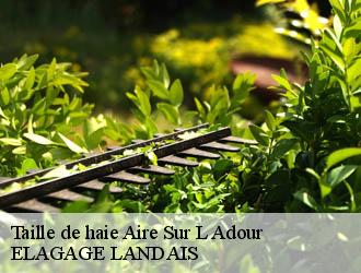 Taille de haie  aire-sur-l-adour-40800 Riva Élagage 40