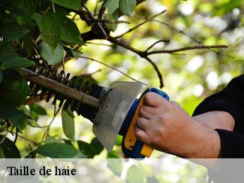 Taille de haie