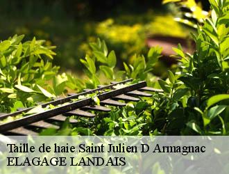 Taille de haie  saint-julien-d-armagnac-40240 Riva Élagage 40