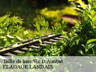 Taille de haie  vic-d-auribat-40380 ELAGAGE LANDAIS