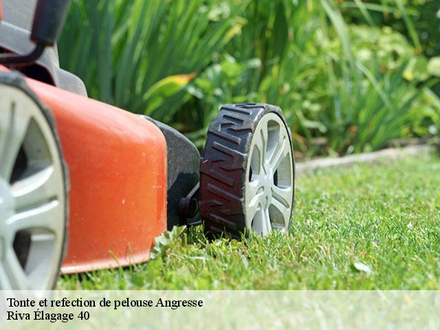 Tonte et refection de pelouse  angresse-40150 Riva Élagage 40