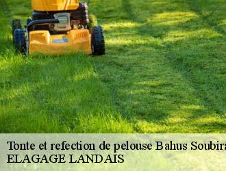 Tonte et refection de pelouse bahus-soubiran-40320 ELAGAGE LANDAIS