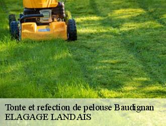 Tonte et refection de pelouse  baudignan-40310 Riva Élagage 40