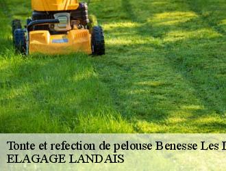 Tonte et refection de pelouse benesse-les-dax-40180 ELAGAGE LANDAIS