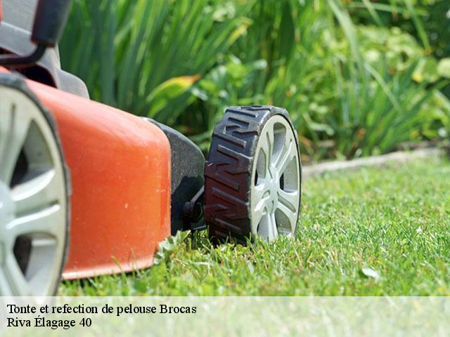 Tonte et refection de pelouse  brocas-40420 Riva Élagage 40