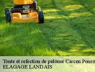 Tonte et refection de pelouse carcen-ponson-40400 ELAGAGE LANDAIS