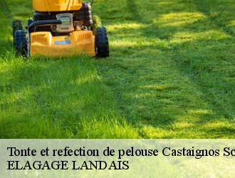 Tonte et refection de pelouse  castaignos-souslens-40700 ELAGAGE LANDAIS