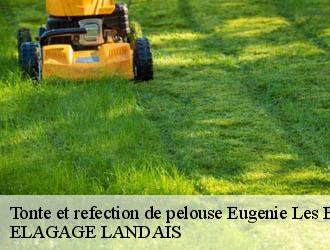 Tonte et refection de pelouse  eugenie-les-bains-40320 ELAGAGE LANDAIS