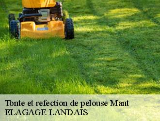Tonte et refection de pelouse mant-40700 ELAGAGE LANDAIS