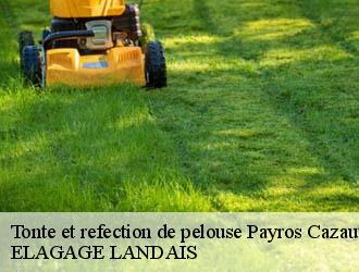 Tonte et refection de pelouse  payros-cazautets-40320 Riva Élagage 40