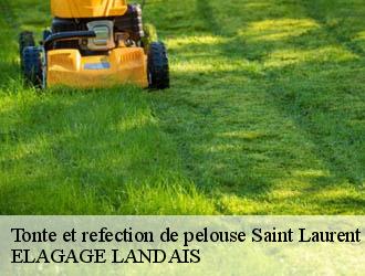 Tonte et refection de pelouse saint-laurent-de-gosse-40390 ELAGAGE LANDAIS