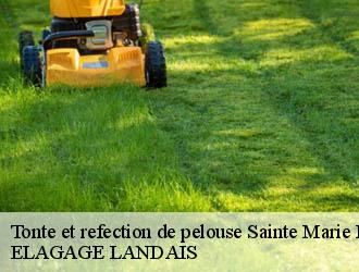 Tonte et refection de pelouse sainte-marie-de-gosse-40390 ELAGAGE LANDAIS